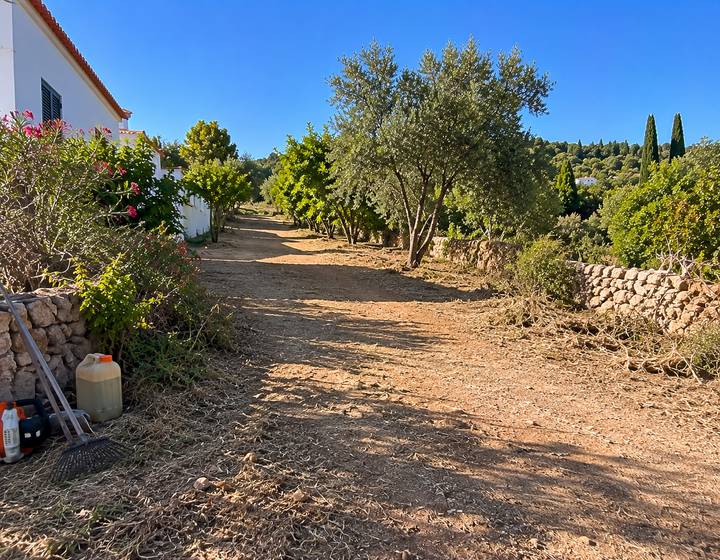 Caminho rural junto a uma casa algarvia após limpeza
