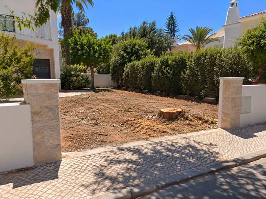 Cepo recém-cortado num jardim soalheiro do Algarve