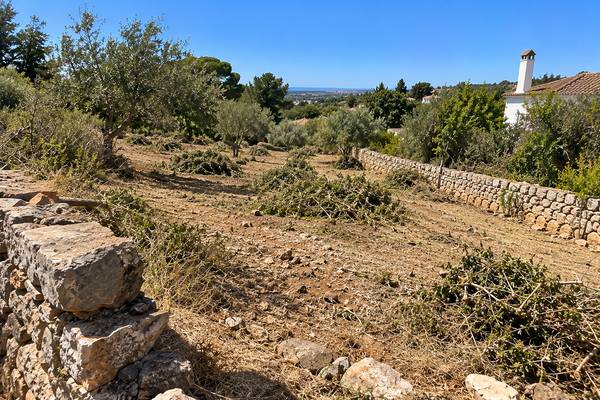 Clareira rural junto ao mar depois dos trabalhos de limpeza no Algarve