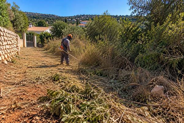 Desmatação rural sob o sol do Algarve
