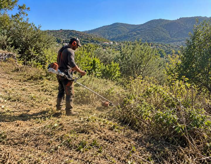 Equipa a limpar o mato numa encosta algarvia