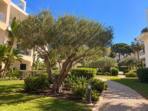 Jardim algarvio com árvores podadas entre edifícios modernos