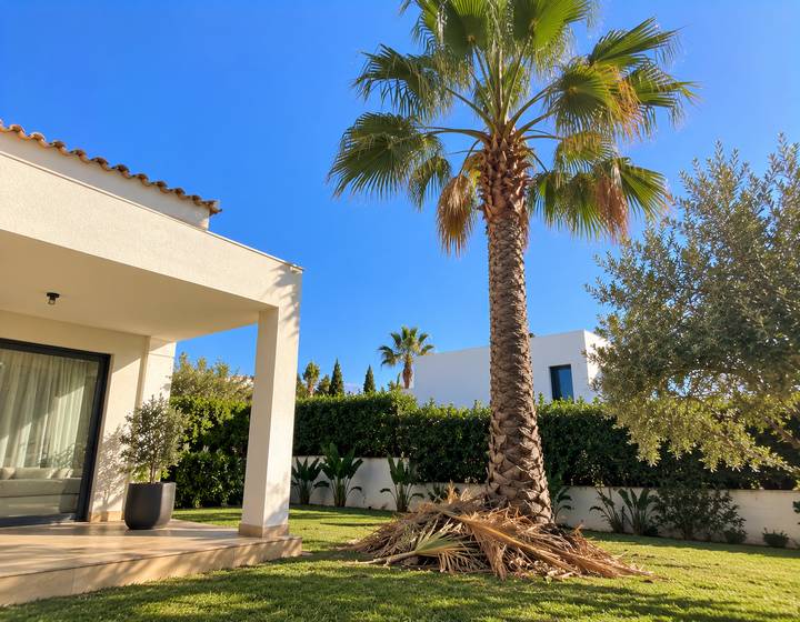 Jardim algarvio com palmeira ao sol bem tratada