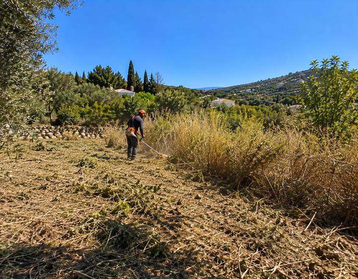Limpeza de terreno no campo algarvio
