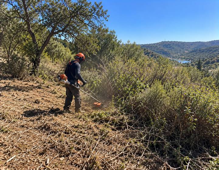 Limpeza de encosta algarvia com remoção de mato