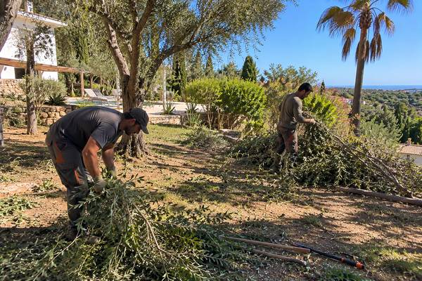 Limpeza de um jardim algarvio pela equipa