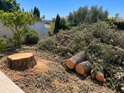 Limpeza de jardim com troncos cortados no Algarve