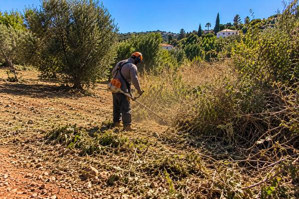 Limpeza de vegetação numa paisagem algarvia