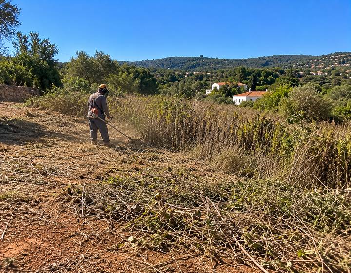Limpeza de mato numa encosta rural do Algarve