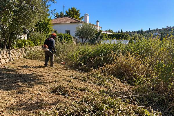 Limpeza de terreno rural junto a uma casa no Algarve