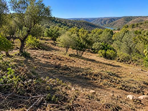 Paisagem de colinas e rio em Silves após limpeza de terreno