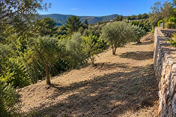 Paisagem algarvia junto a um muro de pedra após limpeza do terreno