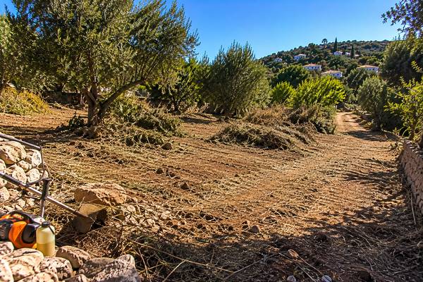 Paisagem rural algarvia com ferramentas de desmatação
