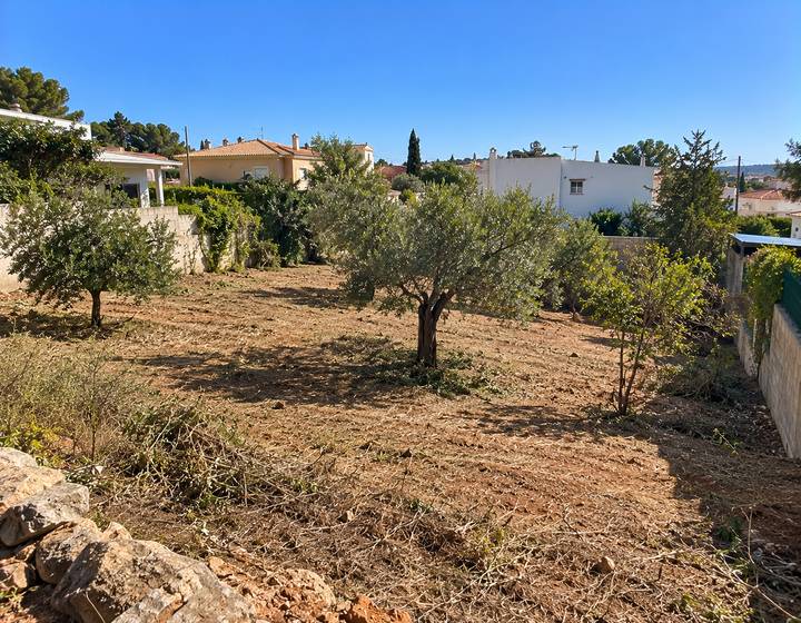 Parcela algarvia ao sol pronta após limpeza de terreno