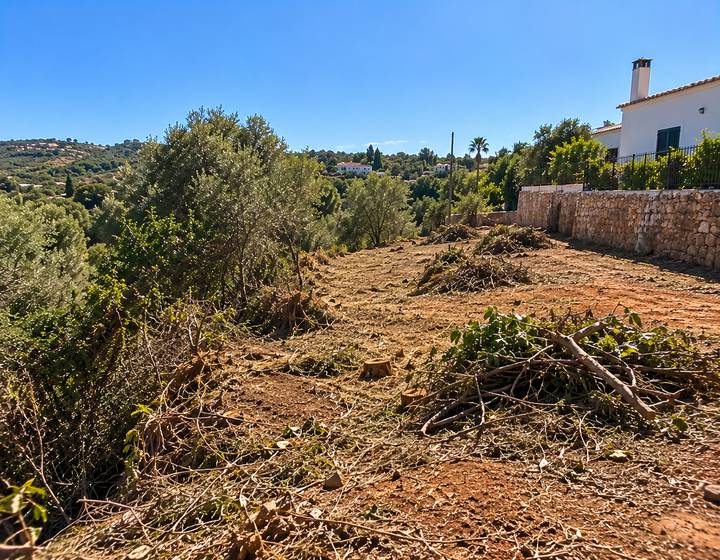Terreno rural limpo junto a uma casa branca algarvia
