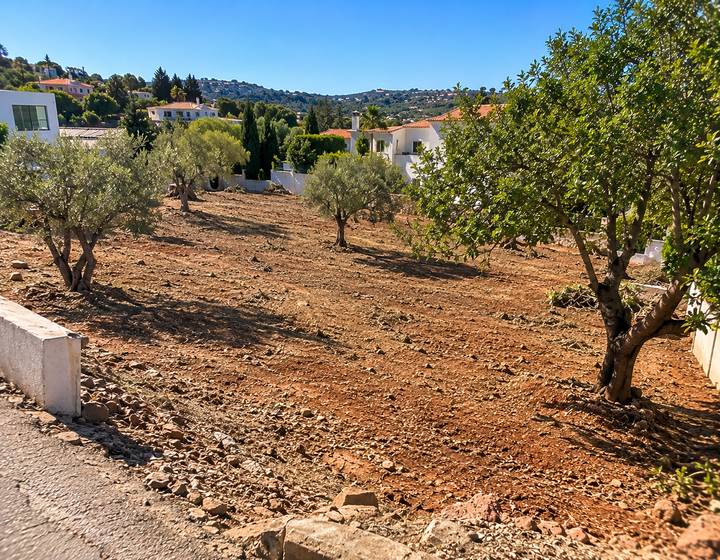 Terreno limpo numa encosta algarvia