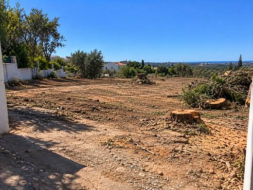 Terreno limpo com vista para o mar depois do abate de árvores
