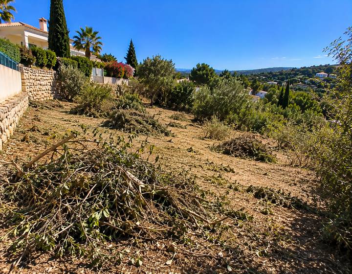 Parcela algarvia acabada de limpar com vista para o vale
