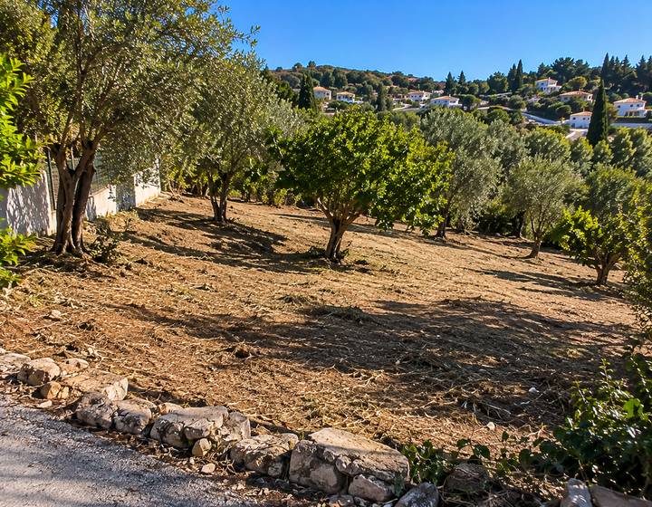 Terreno com oliveiras e vista para o vale no Algarve