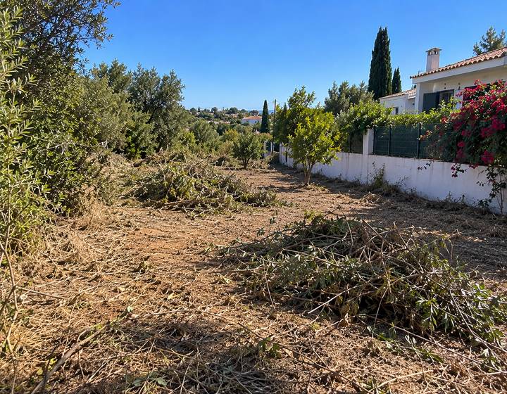 Terreno algarvio acabado de limpar