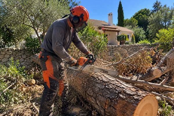 Trabalhador a cortar um tronco num jardim algarvio