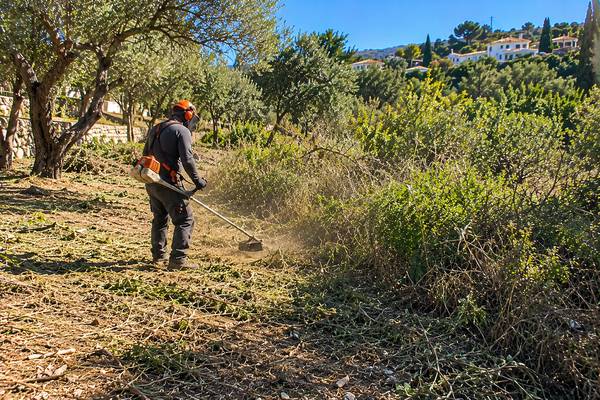 Trabalhador a limpar o terreno numa paisagem algarvia